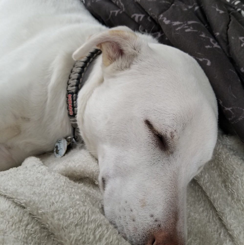 Meet your Posher, Cin